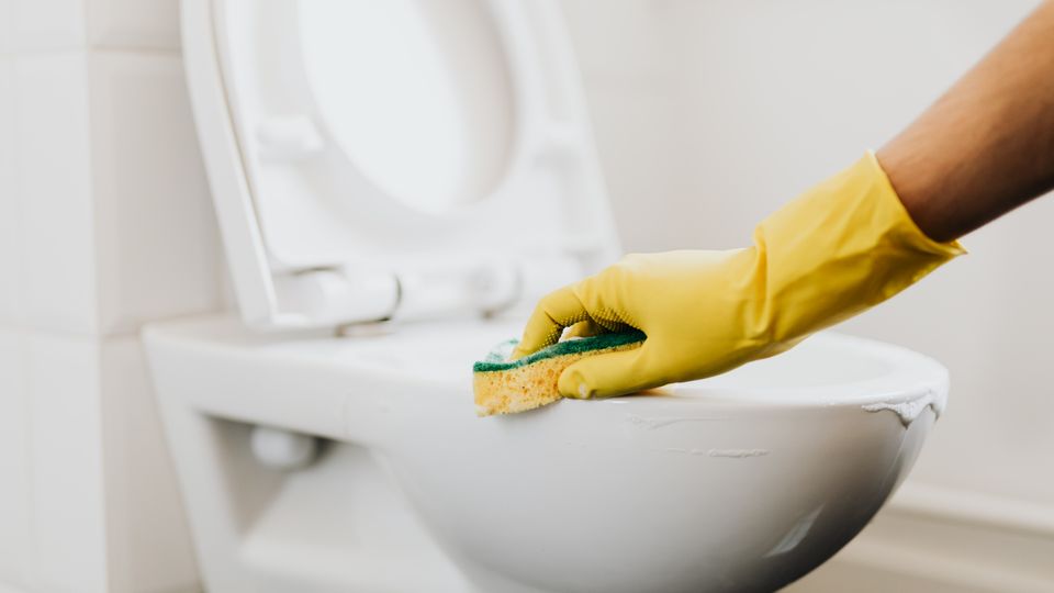 Close-up of a toilet bowl and seat in a bathroom